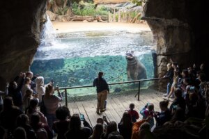 Bioparc Valencia, Día Mundial de los Humedales